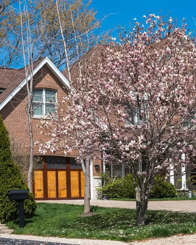 Brick residence framed by a flowering tree on an established Denver-area block.